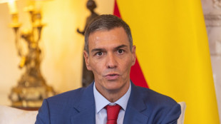 Sanchez, 'nove misure per fermare il genocidio a Gaza'