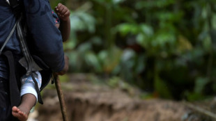 Unicef advierte aumento "masivo" de ni&ntilde;os migrantes por selva paname&ntilde;a hacia EEUU