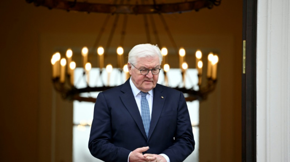 Steinmeier will Wehrhaftigkeit der Demokratie st&auml;rken