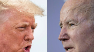 Bidens Demokraten m&uuml;ssen bei US-Kongresswahlen Niederlagen bef&uuml;rchten