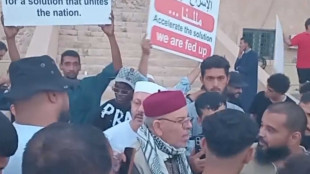 Proteste a Tripoli, chieste elezioni e la fine degli organismi politici