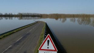 Copernicus: Februar 2026 brachte Rekordniederschl&auml;ge in Westeuropa 