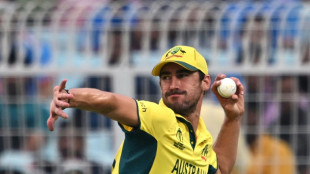 Starc predicts 'spectacle of cricket' in World Cup final against India