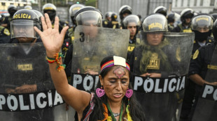 P&eacute;rou: Lima se p&eacute;pare &agrave; devenir le centre des manifestations, la pr&eacute;sidente appelle au calme