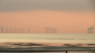 RWE errichtet in Gro&szlig;britannien mit Konzern aus Emiraten zwei Offshore-Windparks