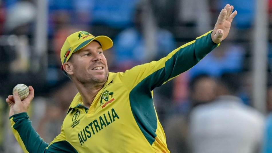 Australia's Warner out of India T20 series after World Cup exploits