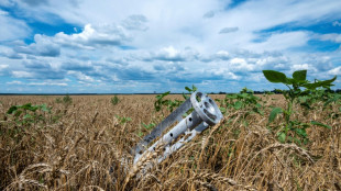 &iquest;Qu&eacute; sabemos del acuerdo entre Rusia y Ucrania para exportar los cereales?