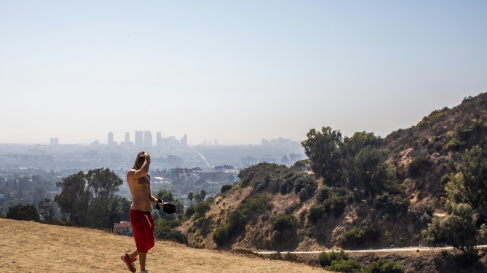 Spending a penny: Uproar over LA plan for $1 mn toilet