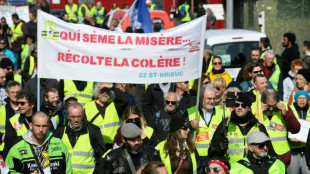 A deux mois de la pr&eacute;sidentielle, la vie ch&egrave;re ravive la col&egrave;re de "gilets jaunes"