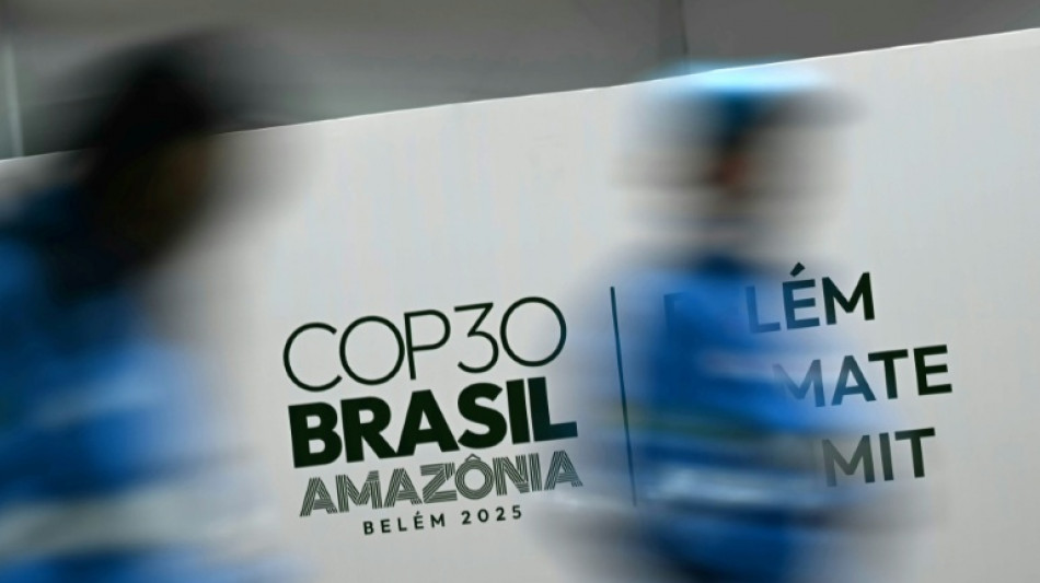 What did countries agree to at COP30?