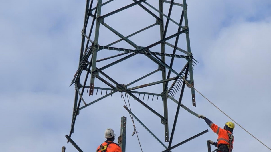 Terna investe 45 milioni nel Fiorentino per la demolizione di tralicci