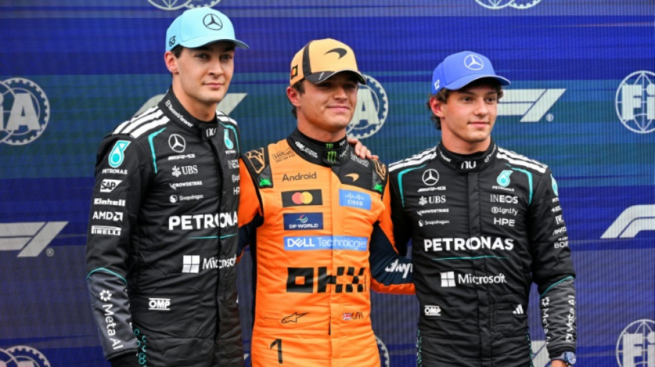 Norris clinches pole for Dutch GP