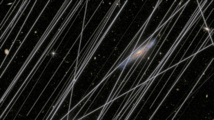 La prolif&eacute;ration des satellites menace l'observation du ciel par t&eacute;lescope