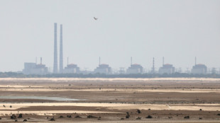 IAEA sieht "keine unmittelbare Gefahr" am vom Stromnetz getrennten Akw Saporischschja