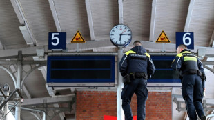 Bahn-Gipfel: GdP-Chef Ro&szlig;kopf fordert mehr Streifen der Bundespolizei in Z&uuml;gen