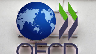 Ocse, crescita zero in Italia e Germania nel terzo trimestre