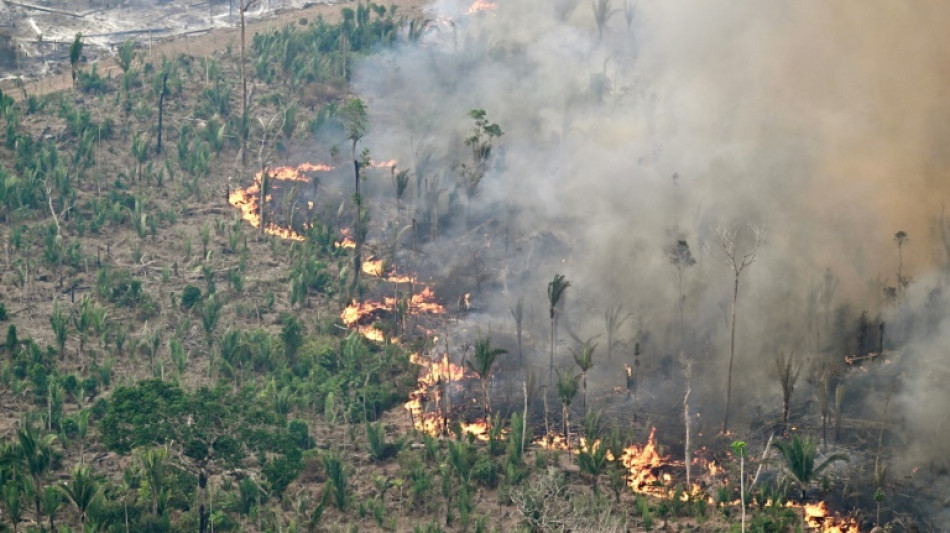 Brasil saluda la propuesta de aplazar la ley antideforestaci&oacute;n de la UE