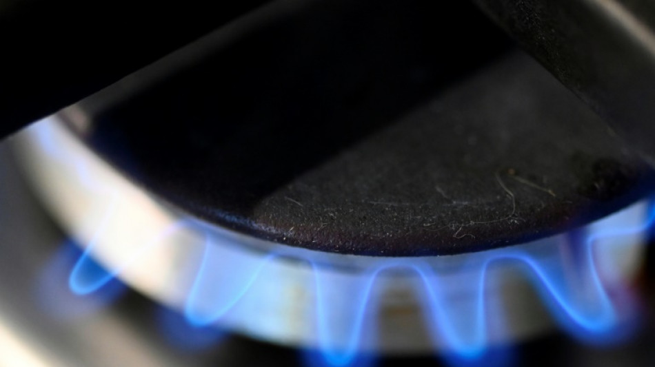Bundestag diskutiert in Aktueller Stunde &uuml;ber Vorschl&auml;ge der Gas-Kommission