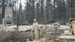 Waldbr&auml;nde: Rund 65.000 US-B&uuml;rger m&uuml;ssen H&auml;user verlassen