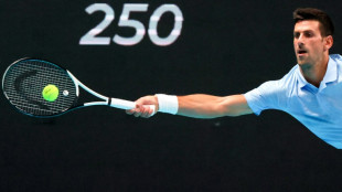 ATP: un Djokovic surmotiv&eacute; remporte &agrave; Tel Aviv son 3e tournoi de la saison
