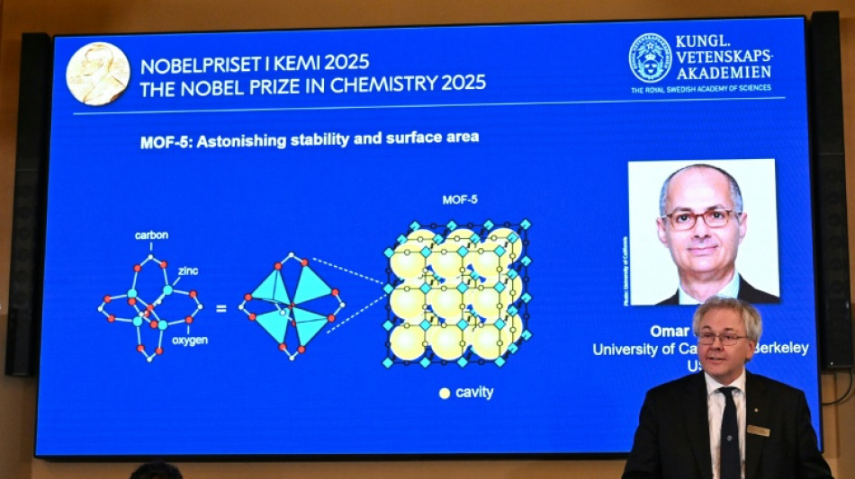 Tres galardonados con el Nobel de Qu&iacute;mica por investigaciones de nuevas estructuras moleculares