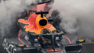 Verstappen completes majestic season with record-breaking triumph