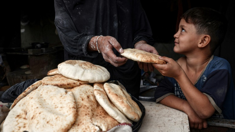 Unos 345.000 gazat&iacute;es se enfrentan a niveles "catastr&oacute;ficos" de inseguridad alimentaria, seg&uacute;n la ONU
