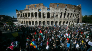 Italie: marée humaine à Rome en soutien aux Palestiniens