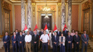 State of emergency in Peru's capital after wave of violence