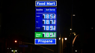 OPEP+ abre el grifo del petr&oacute;leo, pero no lo suficiente para frenar los precios