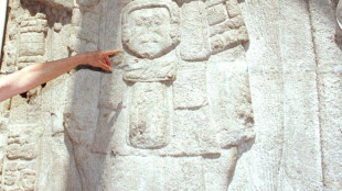 Trovate in Amazzonia oltre 400 antiche strutture precolombiane