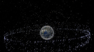 L'Europe spatiale r&eacute;unie &agrave; Toulouse pour pr&eacute;ciser ses ambitions