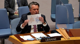 Ukraine: large condamnation &agrave; l'ONU des actions de la Russie