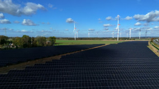 Breite Unterst&uuml;tzung f&uuml;r Ausbau von Solarenergie