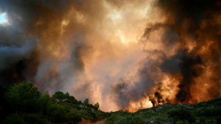 France wildfire kills one as Spanish resort blaze 'stabilised'