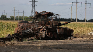 Ukraine official claims Russian advance in Kursk has been 'stopped'