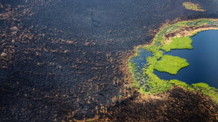 Les feux dans l'Arctique menacent de relâcher des quantités "catastrophiques" de CO2