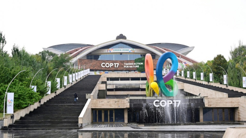 COPs 'bunch of baloney' says Panama as it vies to host nature summit