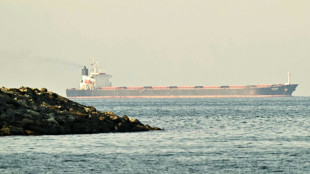 Pourquoi mille navires ont perdu leur GPS au Moyen-Orient