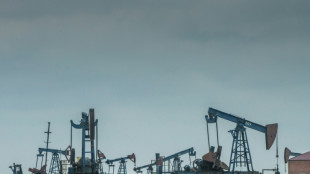 Les importations par la Chine de p&eacute;trole russe bondissent de 55% sur un an&nbsp;