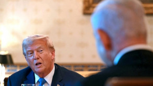 Trump empfängt Israels Regierungschef im Weißen Haus - Hoffnung auf Durchbruch