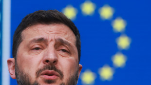 Zelensky, 'Mosca teme la decisione dell'Ue sugli asset'