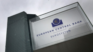 La BCE reste attentiste malgr&eacute; l'inflation record