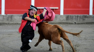 Un espect&aacute;culo de "toreros enanos", prohibido en Espa&ntilde;a, se presenta en Francia