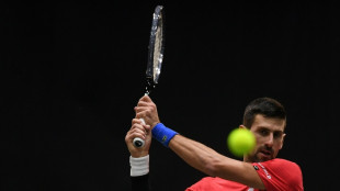 Red-hot Djokovic hoping for 'final push' for Serbia in Davis Cup