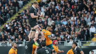 Rennie urges All Blacks to stay focused against 'hurting' Wallabies  