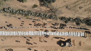 Estados Unidos defiende su plan para desarmar a Hamás y reconstruir Gaza