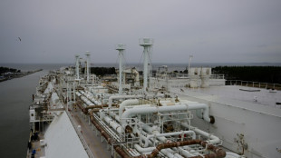 LNG-Terminal auf R&uuml;gen: Gr&uuml;ne Jugend kritisiert Habecks Pl&auml;ne scharf