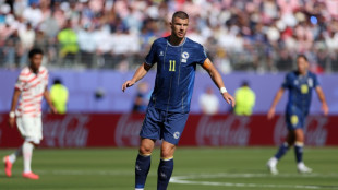 Bosnia captain Dzeko to retire from international football