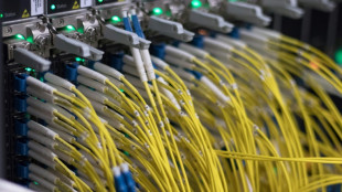EuGH entscheidet &uuml;ber Vorratsdatenspeicherung in Deutschland und Frankreich